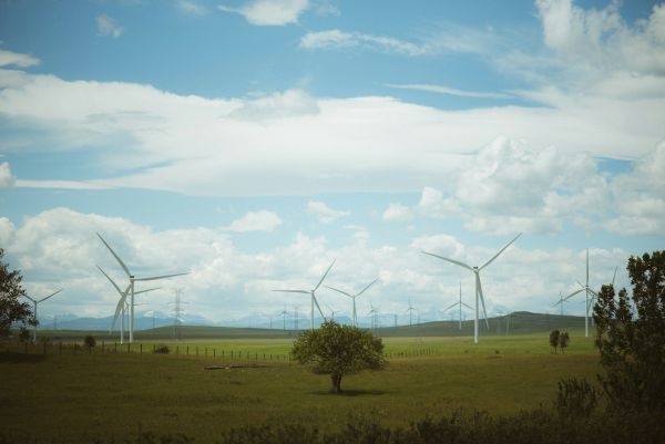 Les avantages d'opter pour Photo écologie en économie d'énergie